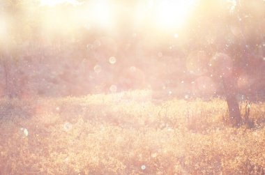 ağaçlar ve glitter bokeh ışıkları arasında ışık patlaması soyut fotoğraf bulanık. Filtre uygulanmış görüntü