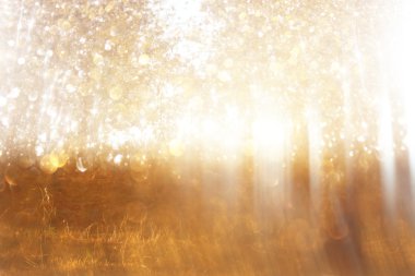 ağaçlar ve glitter bokeh ışıkları arasında ışık patlaması soyut fotoğraf bulanık. Filtre uygulanmış görüntü