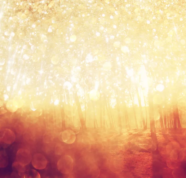 Blurred abstract photo of light burst among trees and glitter bokeh lights. filtered image — Stock Photo, Image