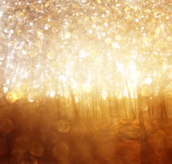 Verschwommenes abstraktes Foto von Licht platzt zwischen Bäumen und glitzernden Bokeh-Lichtern. gefiltertes Bild — Stockfoto