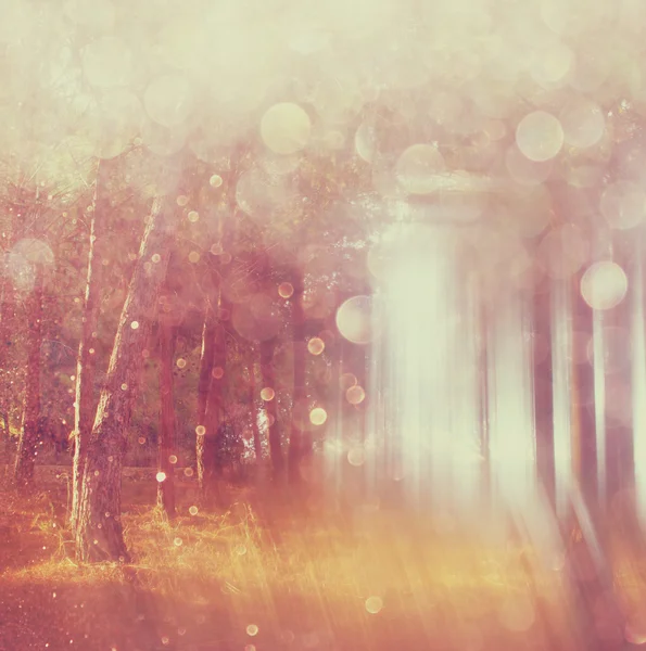 stock image Blurred abstract photo of light burst among trees and glitter bokeh lights. filtered image