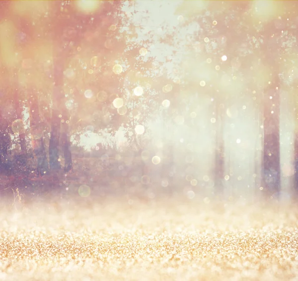 木々 とキラキラ ボケ ライト光バーストのぼやけの抽象的な写真。フィルター処理されたイメージ — ストック写真