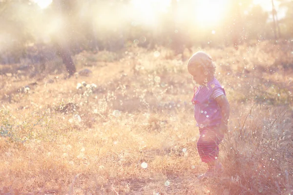 Bambino carino che cammina nel campo e calda luce del tramonto . — Foto Stock