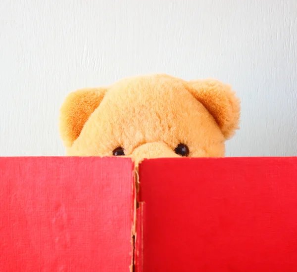 Photo of teddy bear reading book