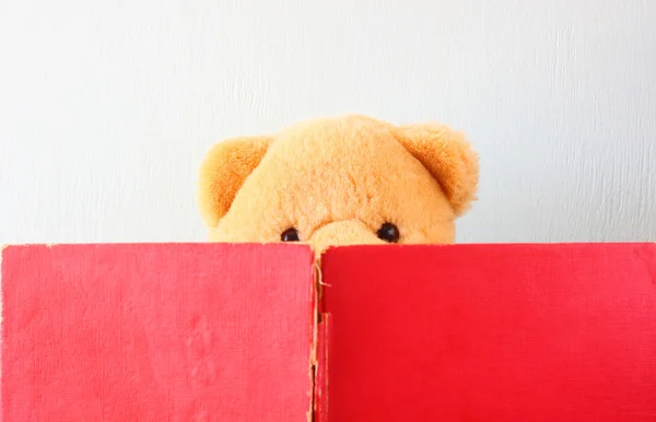 Photo of teddy bear reading book — Stock Photo, Image