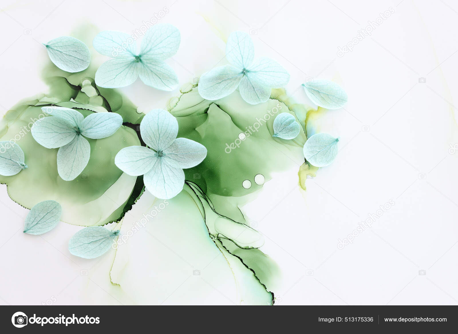 Imagen Creativa Flores Hortensia Verde Menta Pastel Sobre Fondo Tinta:  fotografía de stock © tomert #513175336 | Depositphotos