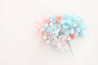 Sanatsal arkaplanda mavi ve pembe ortanca çiçeklerinin yaratıcı görüntüsü. Kopyalama alanı olan üst görünüm