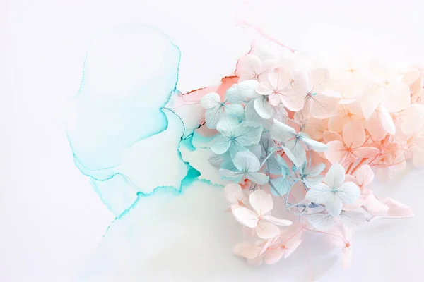 Kreativ Bild Pastell Blå Och Rosa Hortensia Blommor Konstnärligt Bläck — Stockfoto