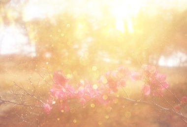 soyut fotoğraf ışık ağaçlar ve glitter bokeh ışıkları arasında seri. görüntü filtre ve dokulu. görüntü bulanık.