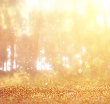 soyut fotoğraf ışık ağaçlar ve glitter bokeh ışıkları arasında seri. görüntü filtre ve dokulu. görüntü bulanık.