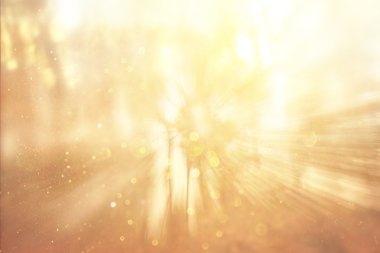 soyut fotoğraf ışık ağaçlar ve glitter bokeh ışıkları arasında seri. görüntü filtre ve dokulu. görüntü bulanık.