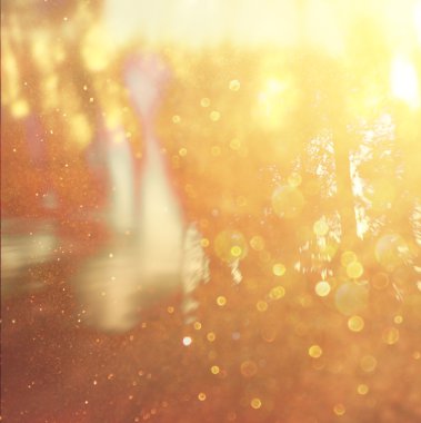 soyut fotoğraf ışık ağaçlar ve glitter bokeh ışıkları arasında seri. görüntü filtre ve dokulu. görüntü bulanık.