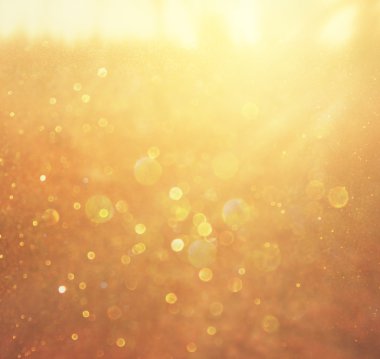 soyut fotoğraf ışık ağaçlar ve glitter bokeh ışıkları arasında seri. görüntü filtre ve dokulu. görüntü bulanık.