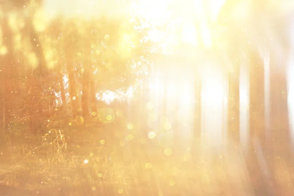 Abstraktes Foto von Licht platzt zwischen Bäumen und glitzernden Bokeh-Lichtern. Bild gefiltert und texturiert. Bild ist verschwommen. — Stockfoto