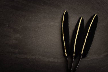 Altın çizgili siyah tüylerin arka planı