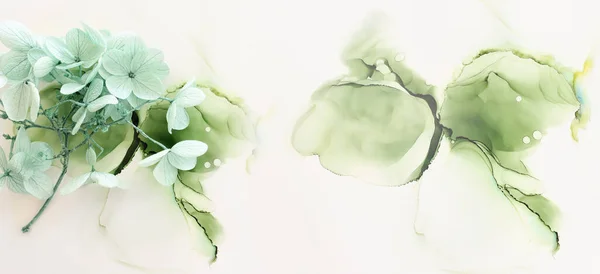 Творческое Изображение Цветков Мяты Зеленой Hypergea Художественном Чернильном Фоне Вид — стоковое фото
