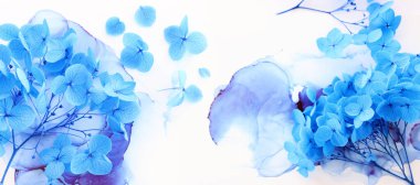 Sanatsal mürekkep arkaplanındaki mavi ortanca çiçeklerinin yaratıcı görüntüsü. Kopyalama alanı olan üst görünüm