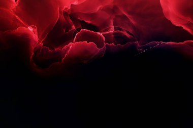 Soyut sıvı sanat resminin sanat fotoğrafçılığı