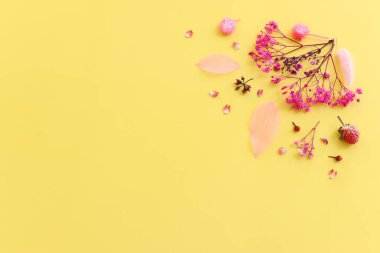 Pastel sarı arkaplan üzerinde pembe ve mor çiçek kompozisyonu üst görünüm .Düz yatıyordu.
