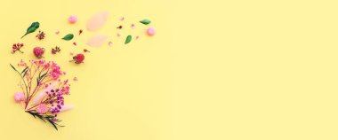 Sarı arkaplan üzerinde pembe, mor ve yeşil çiçek kompozisyonu üst görünüm .Düz yatıyordu