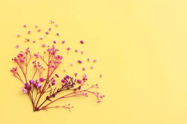 Pastel sarı arkaplan üzerinde pembe ve mor çiçek kompozisyonu üst görünüm .Düz yatıyordu.