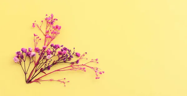 Draufsicht Bild Von Rosa Und Lila Blumen Zusammensetzung Über Pastellgelbem — Stockfoto