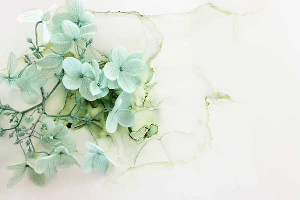 Image Créative Pastel Vert Menthe Fleurs Hortensia Sur Fond Encre — Photo