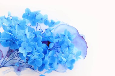 Sanatsal mürekkep arkaplanındaki mavi ortanca çiçeklerinin yaratıcı görüntüsü. Kopyalama alanı olan üst görünüm