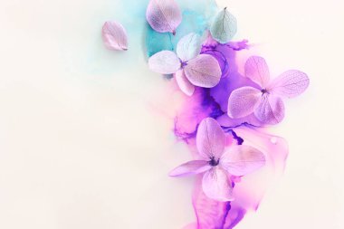 Sanatsal arkaplanda pembe ve mor ortanca çiçeklerinin yaratıcı görüntüsü. Kopyalama alanı olan üst görünüm