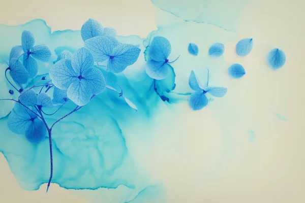 Creatief Beeld Van Blauwe Hortensia Bloemen Artistieke Inkt Achtergrond Bovenaanzicht — Stockfoto