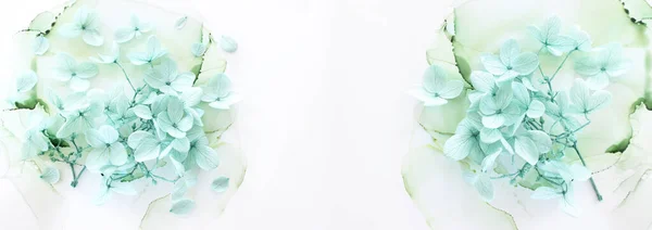 Kreativní Obraz Pastelové Máty Hydrangea Květiny Uměleckém Inkoustu Pozadí Horní — Stock fotografie