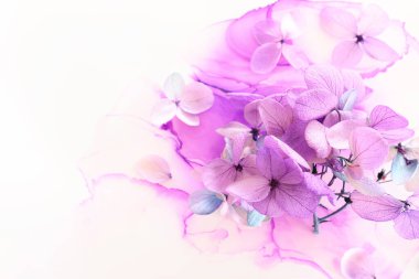 Renkli menekşe ve pembe ortanca çiçeklerinin yaratıcı bir görüntüsü. Kopyalama alanı olan üst görünüm