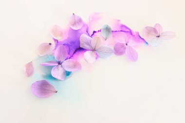 Sanatsal arkaplanda pembe ve mor ortanca çiçeklerinin yaratıcı görüntüsü. Kopyalama alanı olan üst görünüm