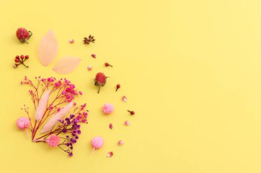 Pastel sarı arkaplan üzerinde pembe ve mor çiçek kompozisyonu üst görünüm .Düz yatıyordu.