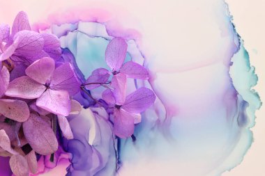 Sanatsal arkaplanda pembe ve mor ortanca çiçeklerinin yaratıcı görüntüsü. Kopyalama alanı olan üst görünüm