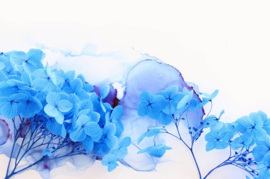 Sanatsal mürekkep arkaplanındaki mavi ortanca çiçeklerinin yaratıcı görüntüsü. Kopyalama alanı olan üst görünüm