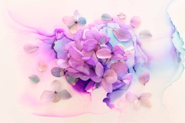 Sanatsal arkaplanda pembe ve mor ortanca çiçeklerinin yaratıcı görüntüsü. Kopyalama alanı olan üst görünüm