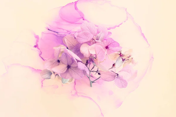 彩绘紫罗兰花和粉红水草花在艺术油墨背景上的创意形象 带有复制空间的顶部视图 — 图库照片