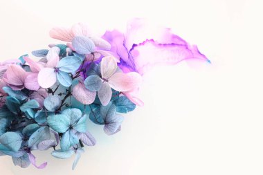 Sanatsal arkaplanda pembe ve turkuaz ortanca çiçeklerinin yaratıcı görüntüsü. Kopyalama alanı olan üst görünüm