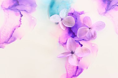 Sanatsal arkaplanda pembe ve mor ortanca çiçeklerinin yaratıcı görüntüsü. Kopyalama alanı olan üst görünüm