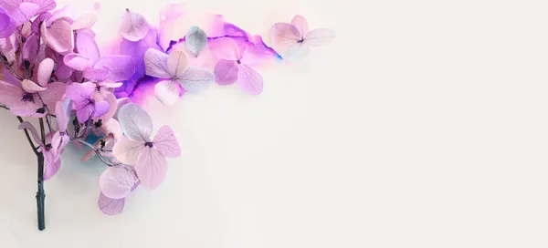 Творче Зображення Рожевих Фіолетових Квітів Гортензії Художньому Фоні Чорнила Вид — стокове фото
