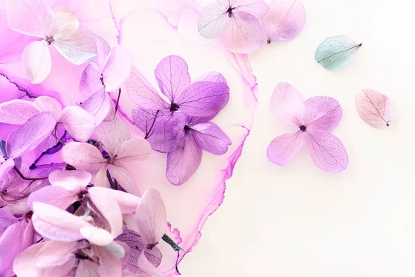 Image Créative Fleurs Hortensia Violet Pastel Rose Sur Fond Encre — Photo