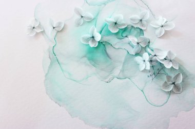 Sanatsal mürekkep arkaplanındaki nane yeşili ortanca çiçeklerinin yaratıcı görüntüsü. Kopyalama alanı olan üst görünüm. Kağıt dokusu