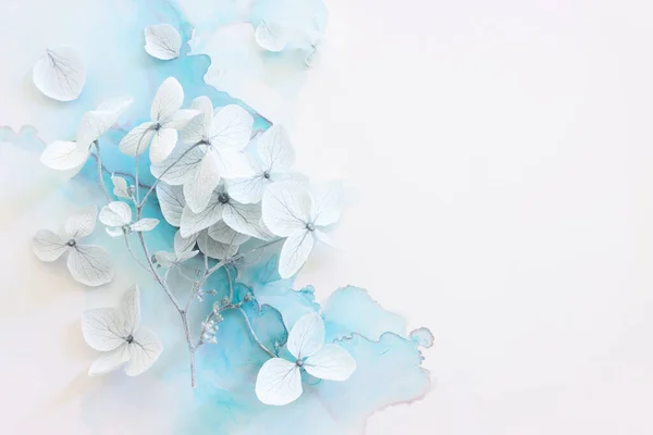 Creatief Beeld Van Pastelblauwe Hortensia Bloemen Artistieke Inkt Achtergrond Bovenaanzicht — Stockfoto