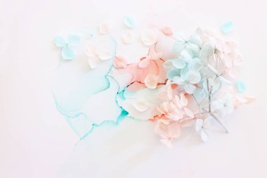 Sanatsal arkaplanda mavi ve pembe ortanca çiçeklerinin yaratıcı görüntüsü. Kopyalama alanı olan üst görünüm