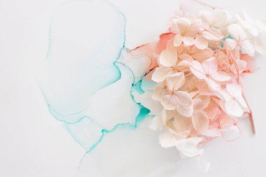 Sanatsal arkaplanda mavi ve pembe ortanca çiçeklerinin yaratıcı görüntüsü. Kopyalama alanı olan üst görünüm