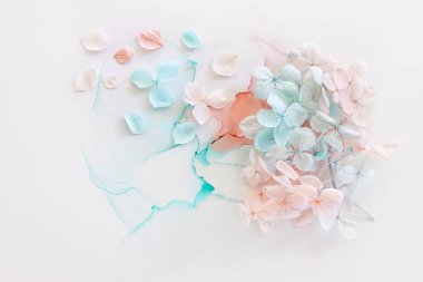 Sanatsal arkaplanda mavi ve pembe ortanca çiçeklerinin yaratıcı görüntüsü. Kopyalama alanı olan üst görünüm