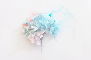 Sanatsal arkaplanda mavi ve pembe ortanca çiçeklerinin yaratıcı görüntüsü. Kopyalama alanı olan üst görünüm