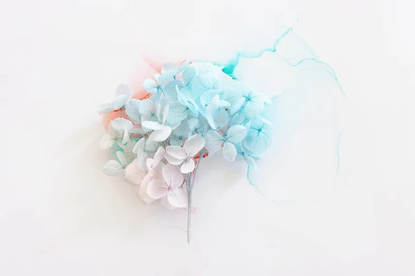 Imagen Creativa Flores Hortensia Azul Pastel Rosa Sobre Fondo Tinta —  Fotos de Stock
