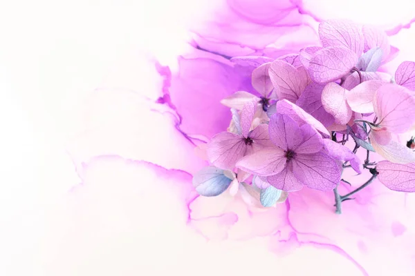 Creatief Beeld Van Pastel Violet Roze Hortensia Bloemen Artistieke Inkt — Stockfoto